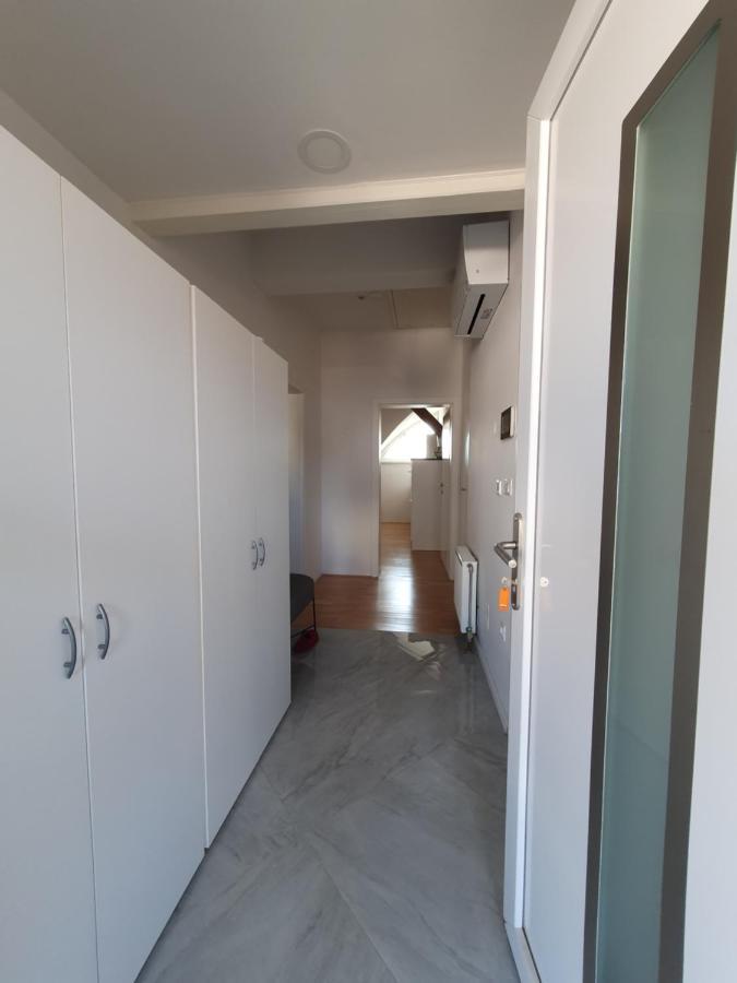Charming Apartment Mila In Privat House With Free Parking リュブリャナ エクステリア 写真