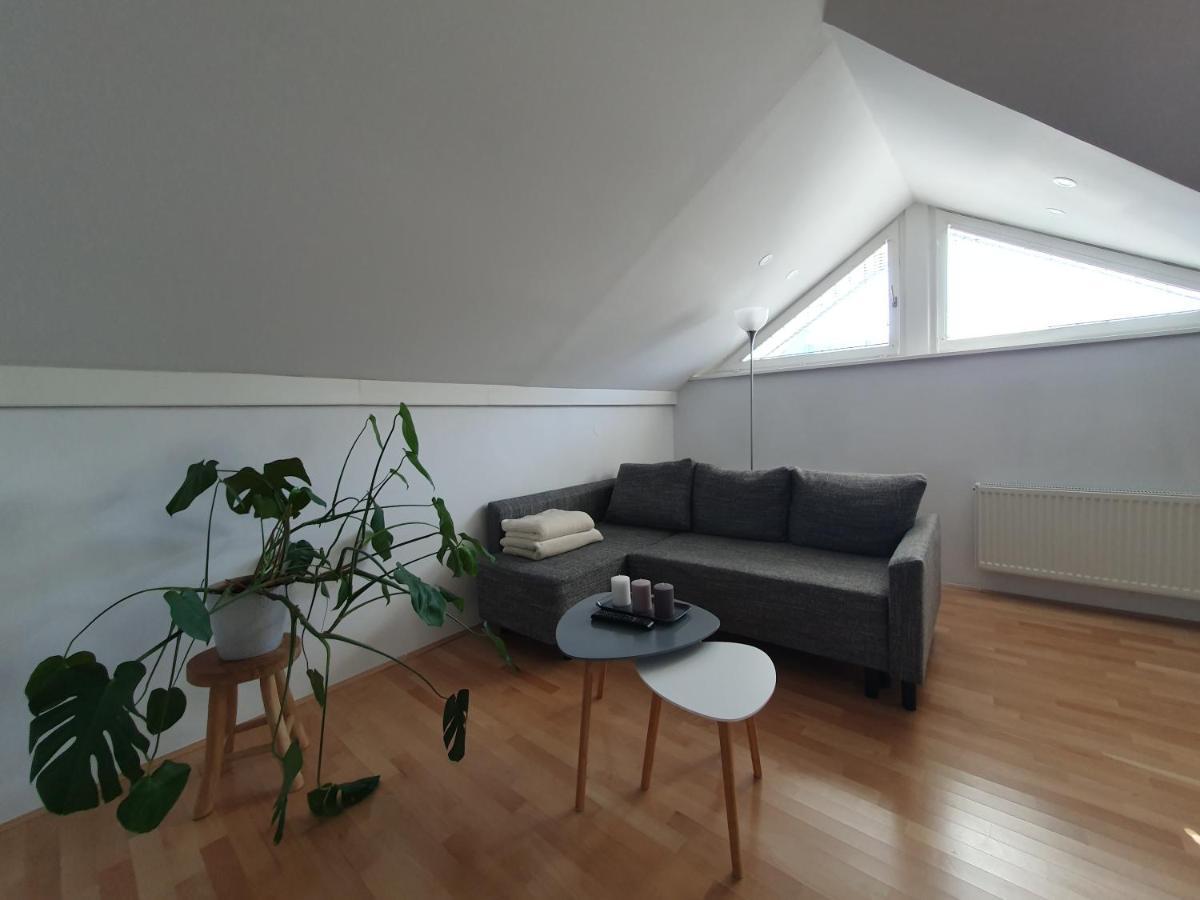 Charming Apartment Mila In Privat House With Free Parking リュブリャナ エクステリア 写真